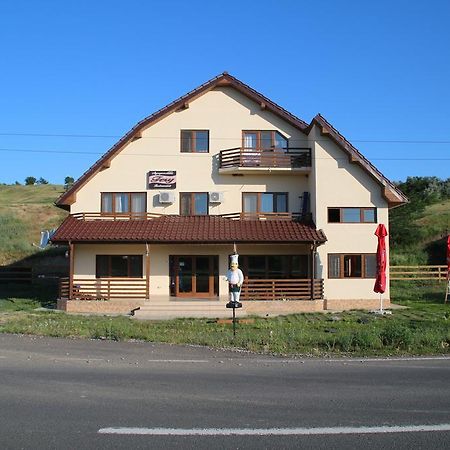 Pensiunea Fery Slobozia-Oancea Экстерьер фото