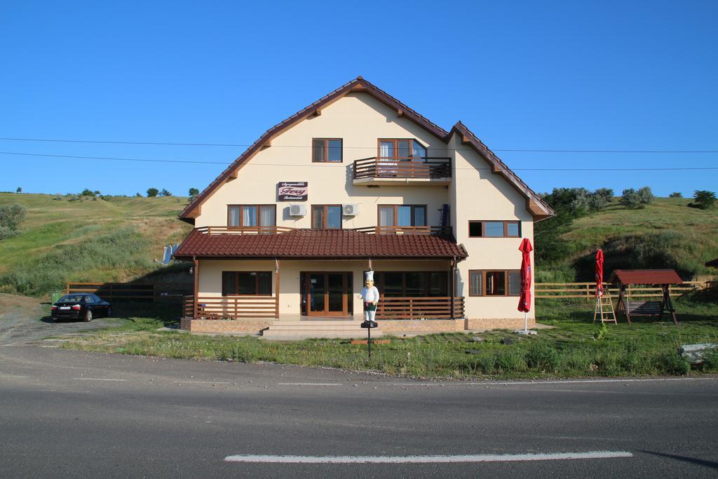 Pensiunea Fery Slobozia-Oancea Экстерьер фото